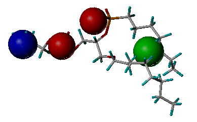 pharmacophore.gif (11243 bytes)